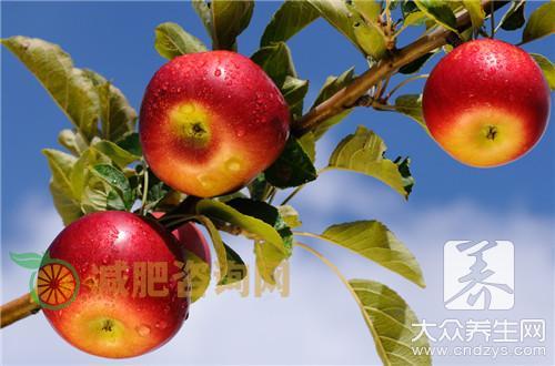 热感冒吃什么水果好？ 