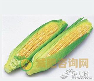 减肥，食品，妙方，热量，饮食，误区