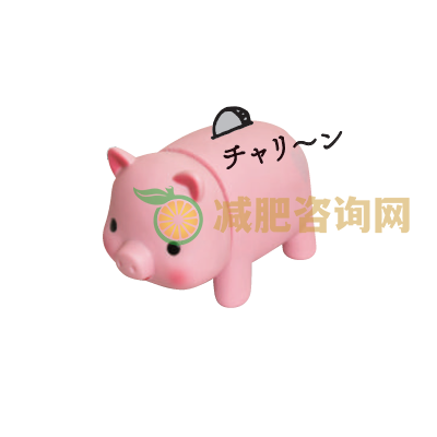 成功减肥