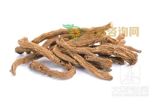 当归功效作用禁忌有哪些