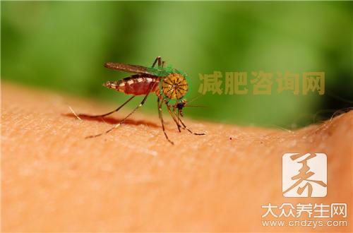 孕妇蚊虫叮咬怎么办呢？