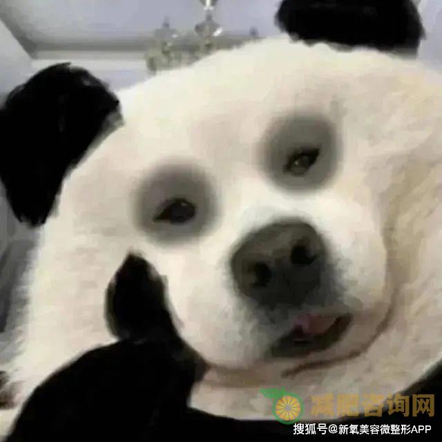 
	冬季减肥做什么运动好,冬天做什么运动减肥
-第2张图片-减肥咨询网