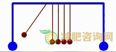 
	夏天运动出汗能减肥吗,为什么夏天适合减肥
-第2张图片-减肥咨询网