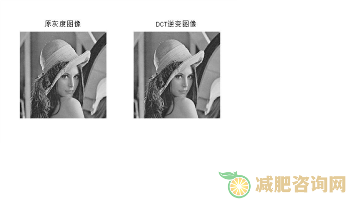 
	减肥毛豆可以代替主食嘛,减肥主食吃什么比较好
-第3张图片-减肥咨询网