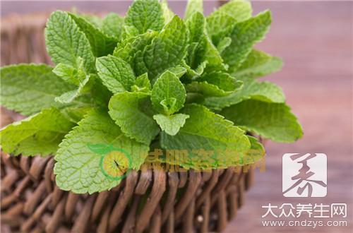 番泻叶的正确服用方法有哪些？