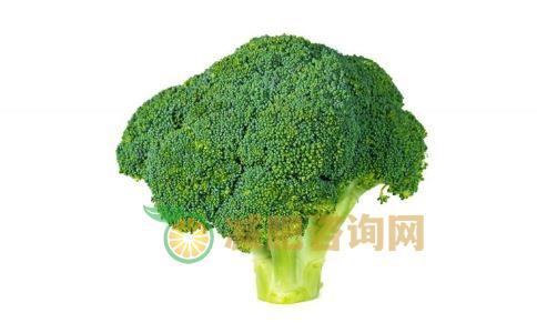 轻食 瘦身时尚 瘦身潮流 饮食瘦