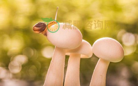 哪些食物可以丰胸 丰胸吃什么 什么食物可以丰胸	