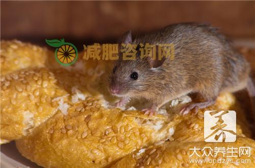 夜明砂的功效与作用有哪些？夜明砂的好处