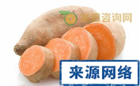 排毒减肚子吃什么号 吃什么食物能排毒 哪些食物吃了能排毒