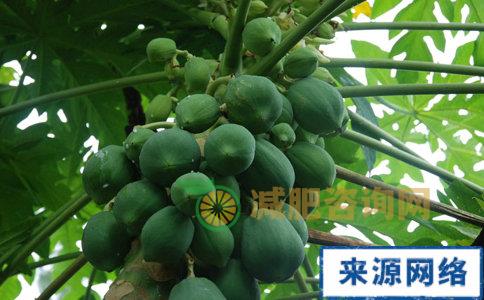消肿减肥吃什么好 消肿减肥吃什么 吃什么能消肿减肥