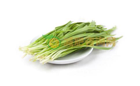 吃了不会发胖的食物有哪些 哪些食物吃了不会发胖 什么食物吃了不会发胖