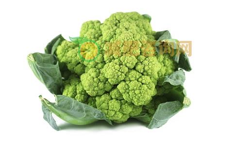 水肿的饮食减肥方法 水肿要如何减肥 水肿的减肥方法