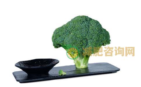 西兰花可以减肥吗 西兰花减肥食谱有哪些 西兰花怎么吃可以减肥
