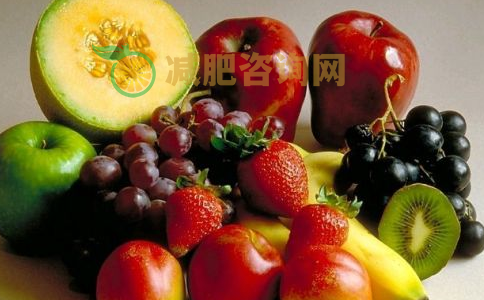 胖子每天吃多少可以减肥 吃什么能减肥 哪些食物吃不胖
