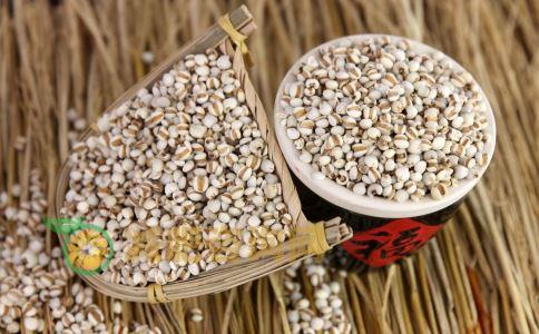 薏米粥怎么吃可以减肥 薏米减肥食谱有哪些 吃薏米可以减肥吗