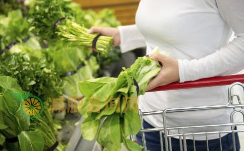最热门的减肥法 一日三餐健康新吃法 一日三餐怎么吃可以减肥 一日三餐吃什么可以减肥 三餐减肥食谱有哪些