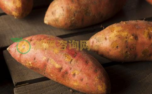 秋季吃什么食物可以减肥 秋季减肥吃什么食物比较好 适合秋季减肥的食物