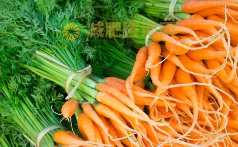 哪些食物吃了不会长胖 不会长胖的食物有哪些 哪些食物可以减肥