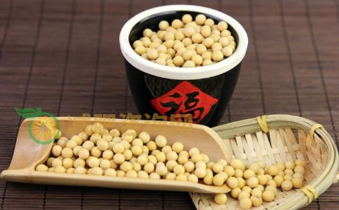 豆浆枸杞可以减肥吗 豆浆枸杞怎么吃可以减肥 豆浆枸杞的制作方法