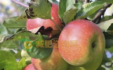 冬季喝什么汤可以减肥 冬季减肥瘦身汤有哪些 冬季减肥的方法有哪些