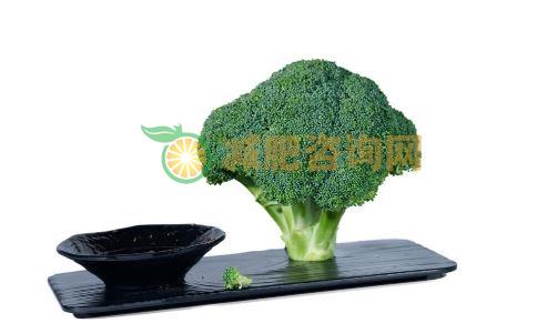 上班族减肥吃什么好 白领吃什么可以预防肥胖 可以预防肥胖的食物有哪些