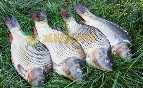 节食减肥效果怎么样 节食减肥会有效果吗 节食减肥会反弹吗