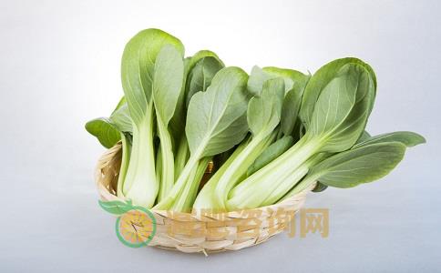 吃什么能减肥 小白菜减肥效果好吗 秋季吃什么减肥