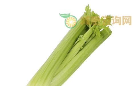 吃什么可以减肥 常吃芹菜可以减肥吗 芹菜的减肥效果好吗