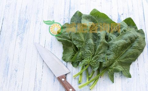 素食减肥有哪些捷径 素食减肥的捷径有哪些 哪些素食可以减肥
