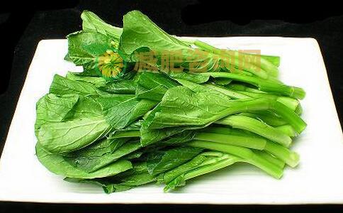 夏季减肥吃什么最快 最适合夏季的减肥运动有哪些 夏季做什么运动减肥好