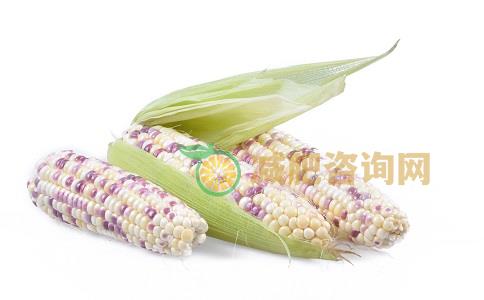 用玉米可以减肥吗 玉米减肥效果好吗 玉米怎么吃减肥