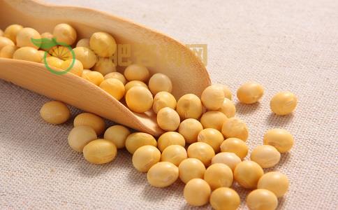 醋泡黄豆减肥法 每天吃6粒就能瘦 醋泡黄豆减肥法效果好吗 醋泡黄豆可以减肥吗 醋泡黄豆减肥法