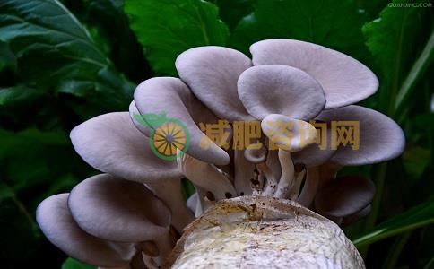 中年人要如何减肥 女人30岁要如何减肥最好 最适合女性的减肥方法