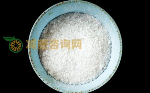 吃盐的坏处 减肥可以吃盐吗 减肥的时候能吃盐吗