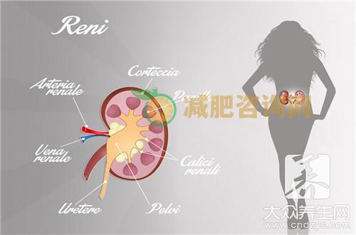 肾功能不好怎么调理？