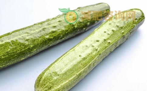 黄瓜鸡蛋能减肥吗 黄瓜的减肥方法 黄瓜鸡蛋怎么吃才能减肥