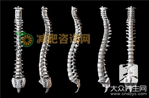 脊柱生理弯曲消失怎么回事？