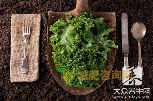 荆芥有什么作用？功效大不大？