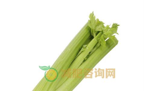 减肥的食物 减肥方法 营养美食 吸油脂的食物