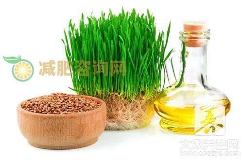 桂圆发芽能吃吗？有哪些注意事项呢？