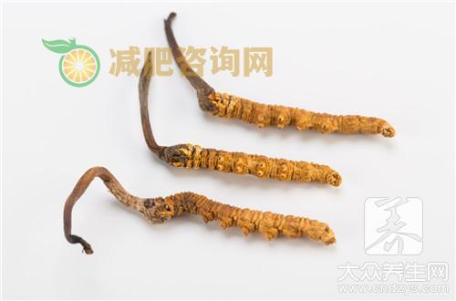 冬虫夏草一次吃几根，怎么吃 