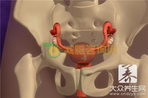 胆囊息肉的中医治疗方法是什么