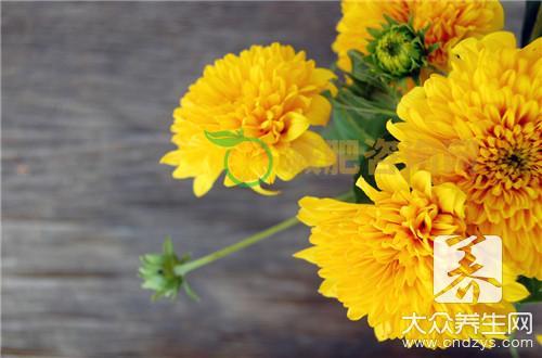 菊花枕包括了什么功效？
