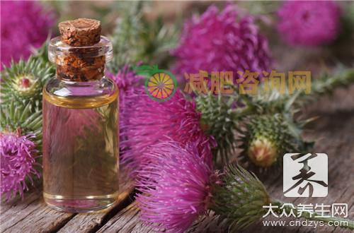 炒牛蒡子有治疗风热感冒的作用功效吗