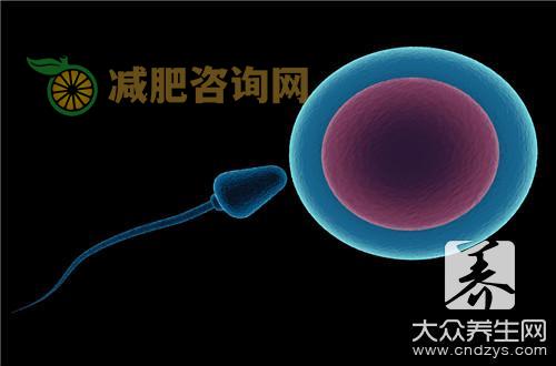 怎样促进排卵有效？