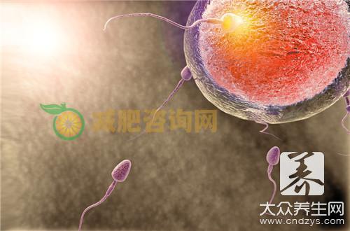 怎样促进排卵有效？