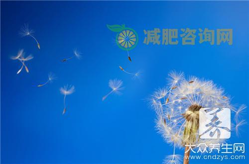 蒲公英对肝脏会造成损害吗 蒲公英有什么作用？