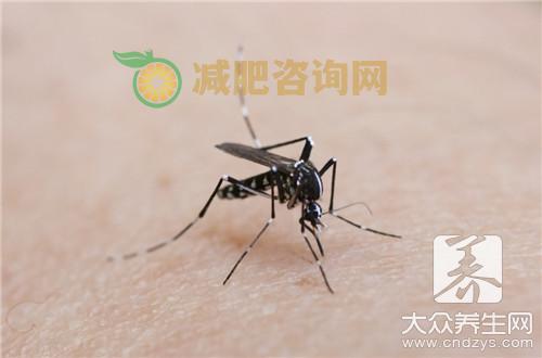 夏天蚊虫叮咬怎么办？