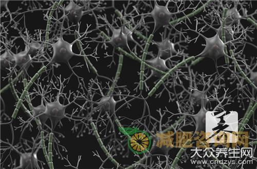 什么叫骨髓移植