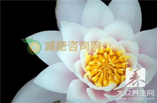 半枝莲的功效及作用 主要都有哪些？